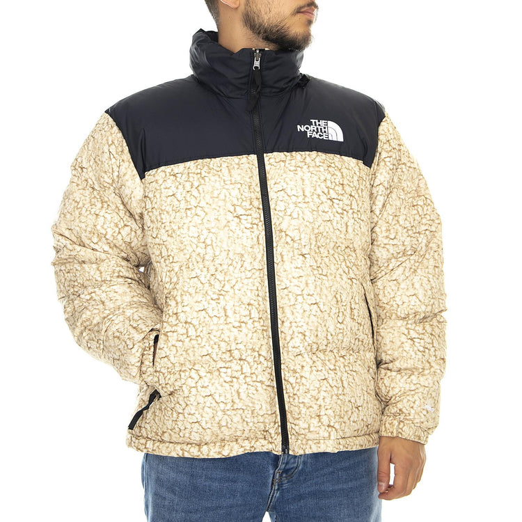  T93C8DF3X  THE NORTH FACE 