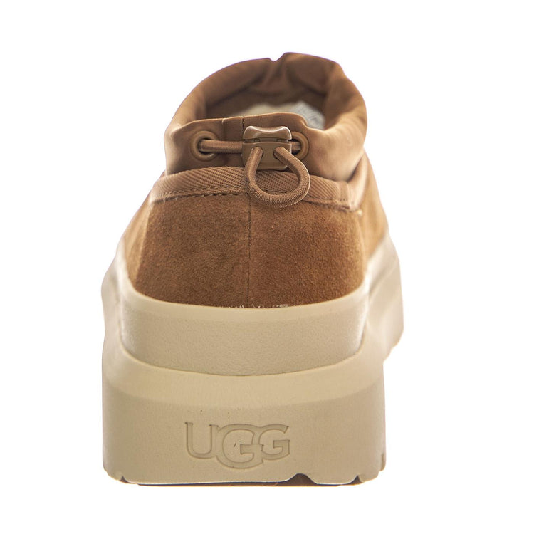 M Tasman Weather Hybrid Chestnut / Whitecap - Scarpe Profilo Basso Uomo Marroni 1144096-CWTC  UGG 