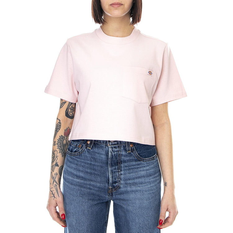  DK0A4XDELPI1  DICKIES 