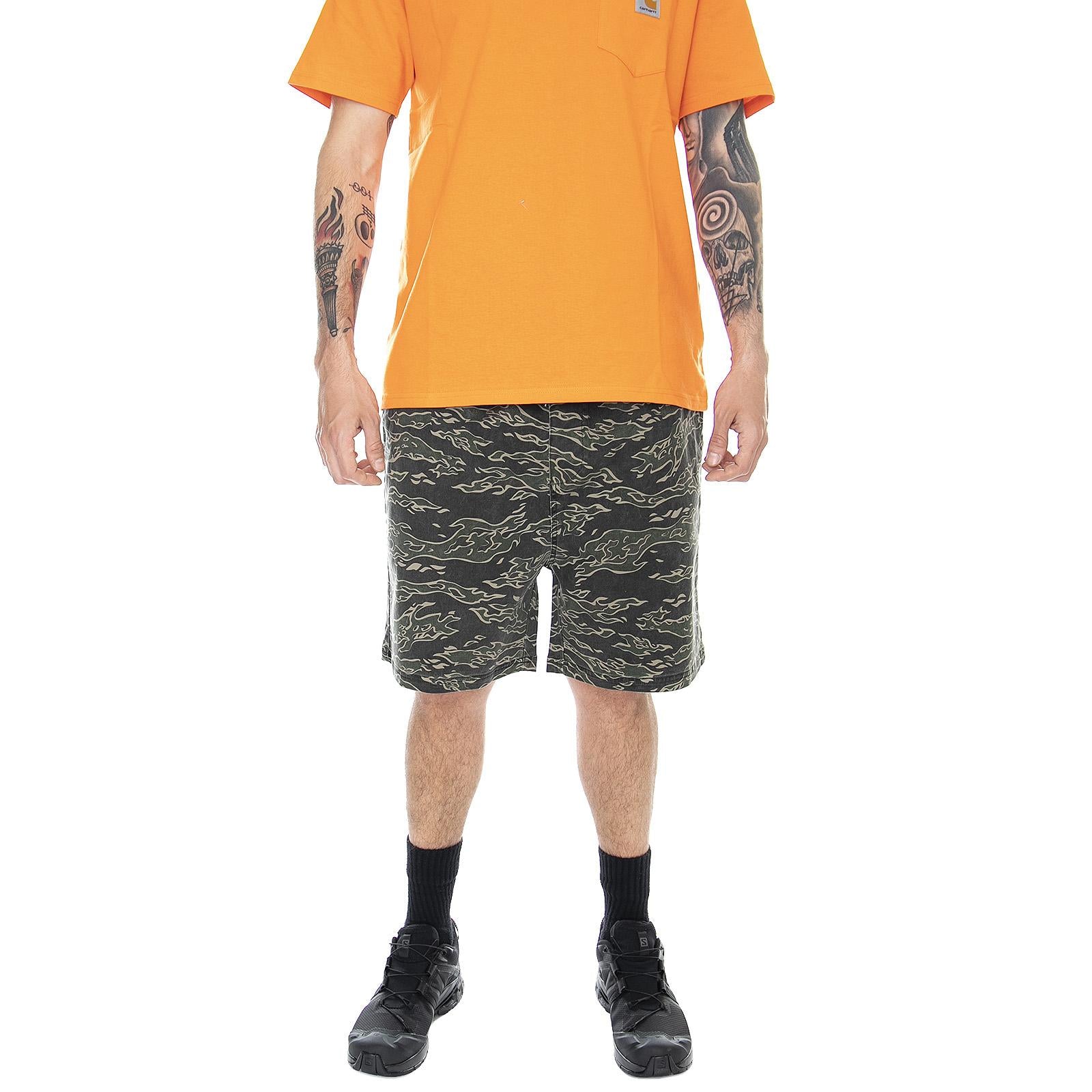  GB01916000-TCAM  GLOBE 