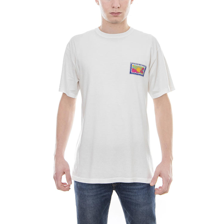 HORIZON PIG. DYED TEE NATURAL 1904238-NATL . STUSSY 