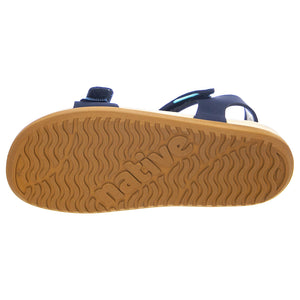  62105500-4218  NATIVE 