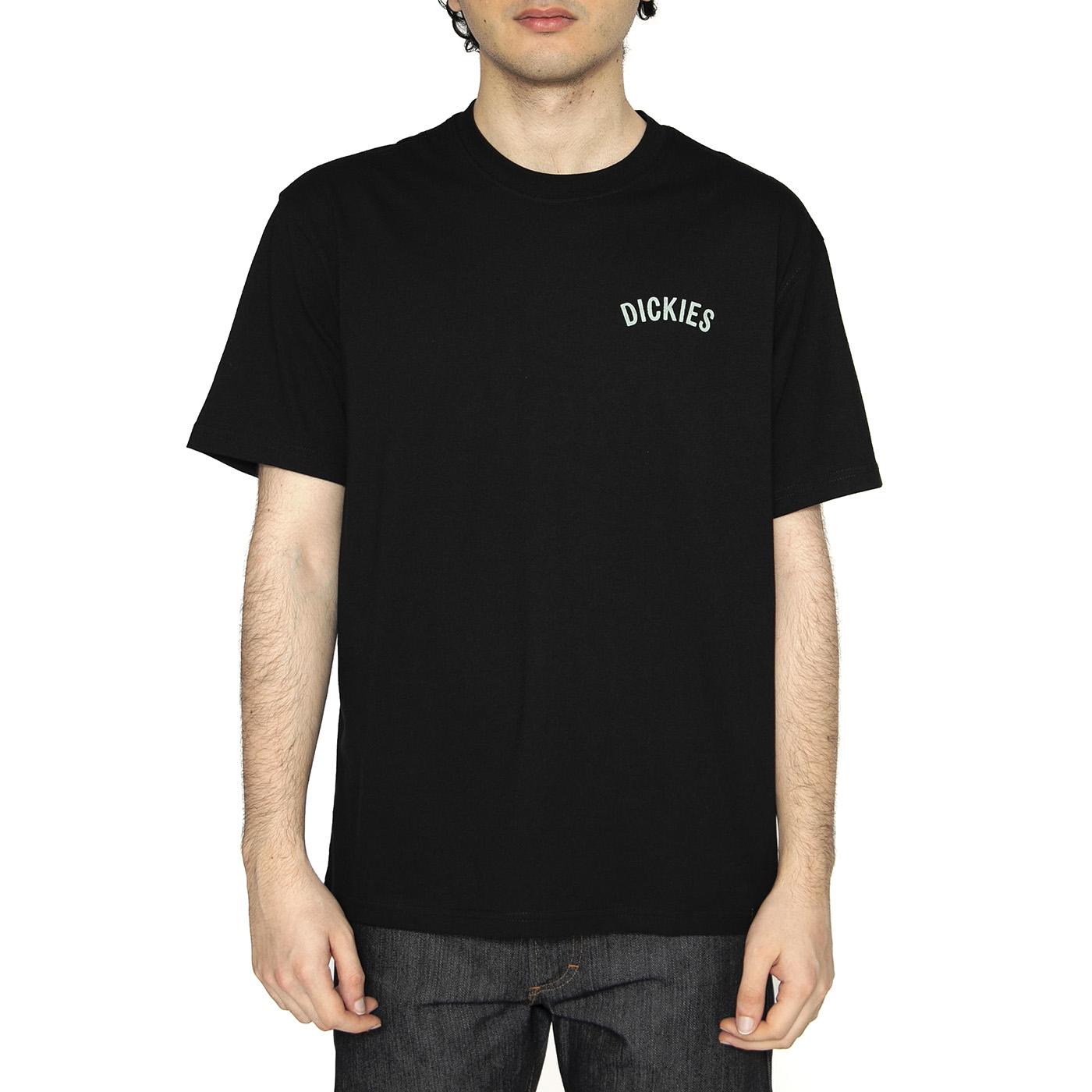 Dickies Snake SS Tee Black - Maglietta Girocollo Uomo Nera DK0A4Z99BLK1  DICKIES 