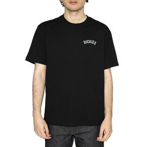 Dickies Snake SS Tee Black - Maglietta Girocollo Uomo Nera DK0A4Z99BLK1  DICKIES 