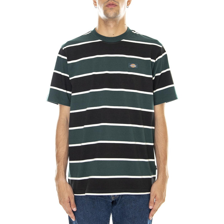  DK0A4XISB851  DICKIES 