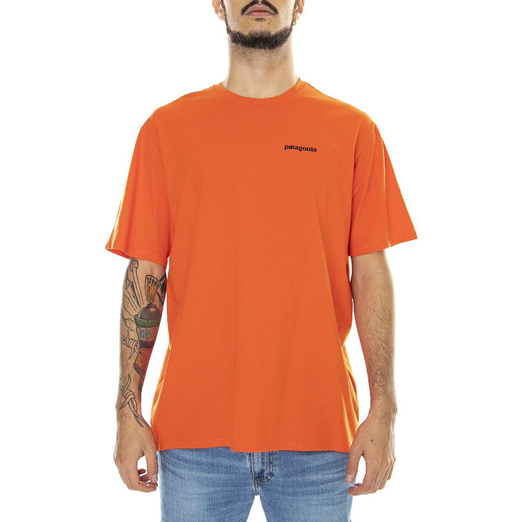  37529-MEOR  PATAGONIA 