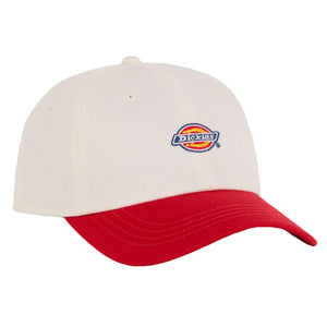 Hardwick 2 Tone Egret - Cappellino con Visiera Multicolore DK0A4Z6LC481  DICKIES 