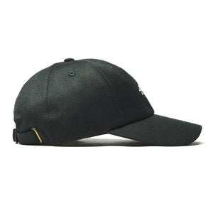 SUITING LOW PRO CAP PINE 131793-PINE  STUSSY 