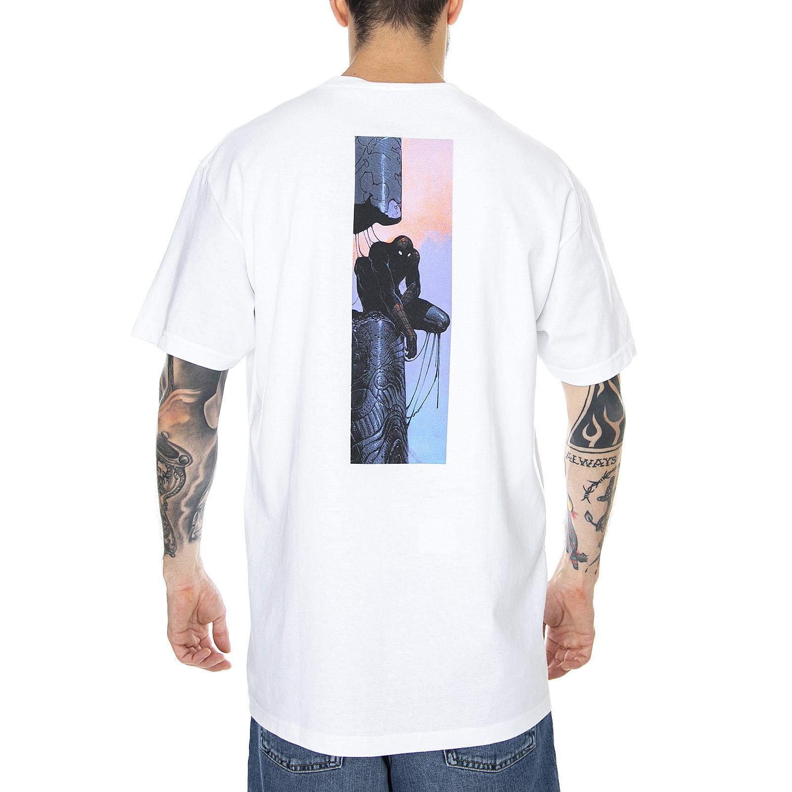  PRASS10728  PRIMITIVE 