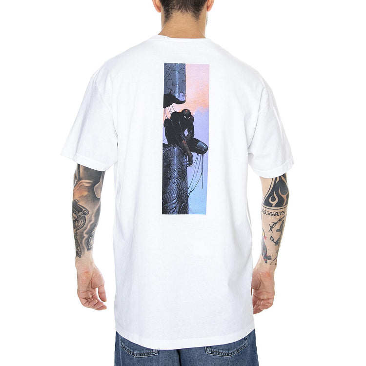  PRASS10728  PRIMITIVE 