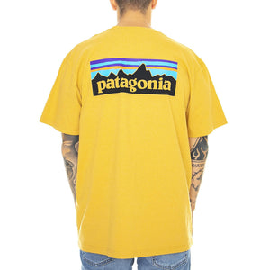  39174-GPGO  PATAGONIA 