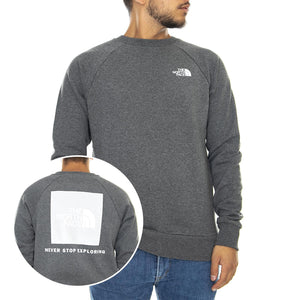  T93RZ2DYY  THE NORTH FACE 