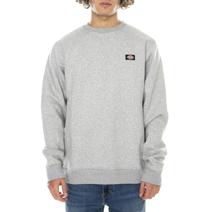  DK220240GYM1  DICKIES 