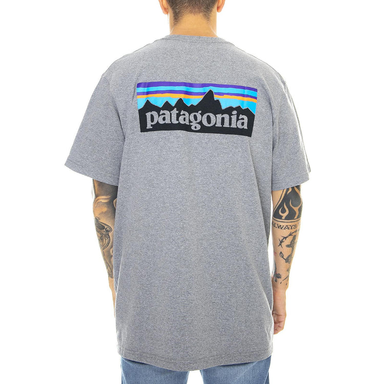  39178-GLH  PATAGONIA 