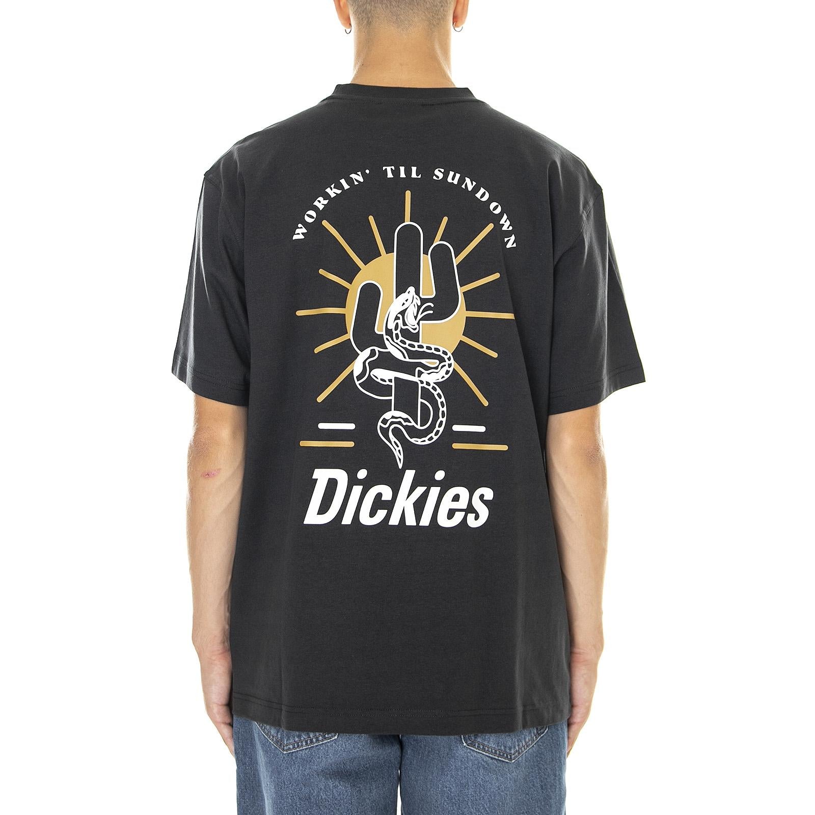 DK0A4XHFBLK1  DICKIES 