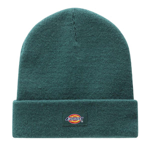  DK0A4X7KB851  DICKIES 