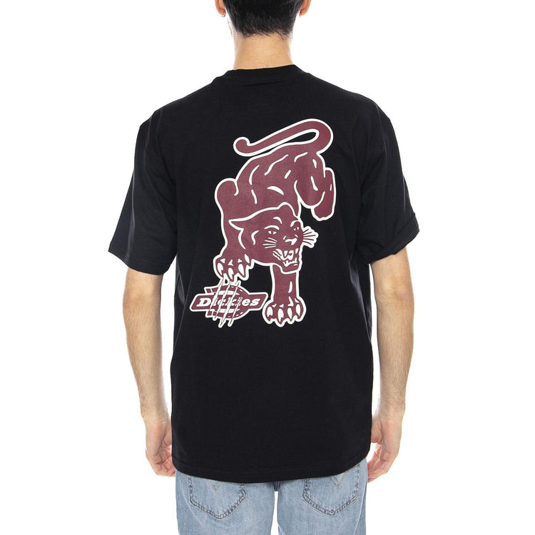 Graysville Tee SS -- Maglietta Uomo Nera DK0A87QQBLK1 . DICKIES 