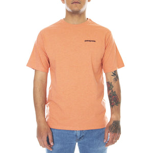  38504-COHC  PATAGONIA 