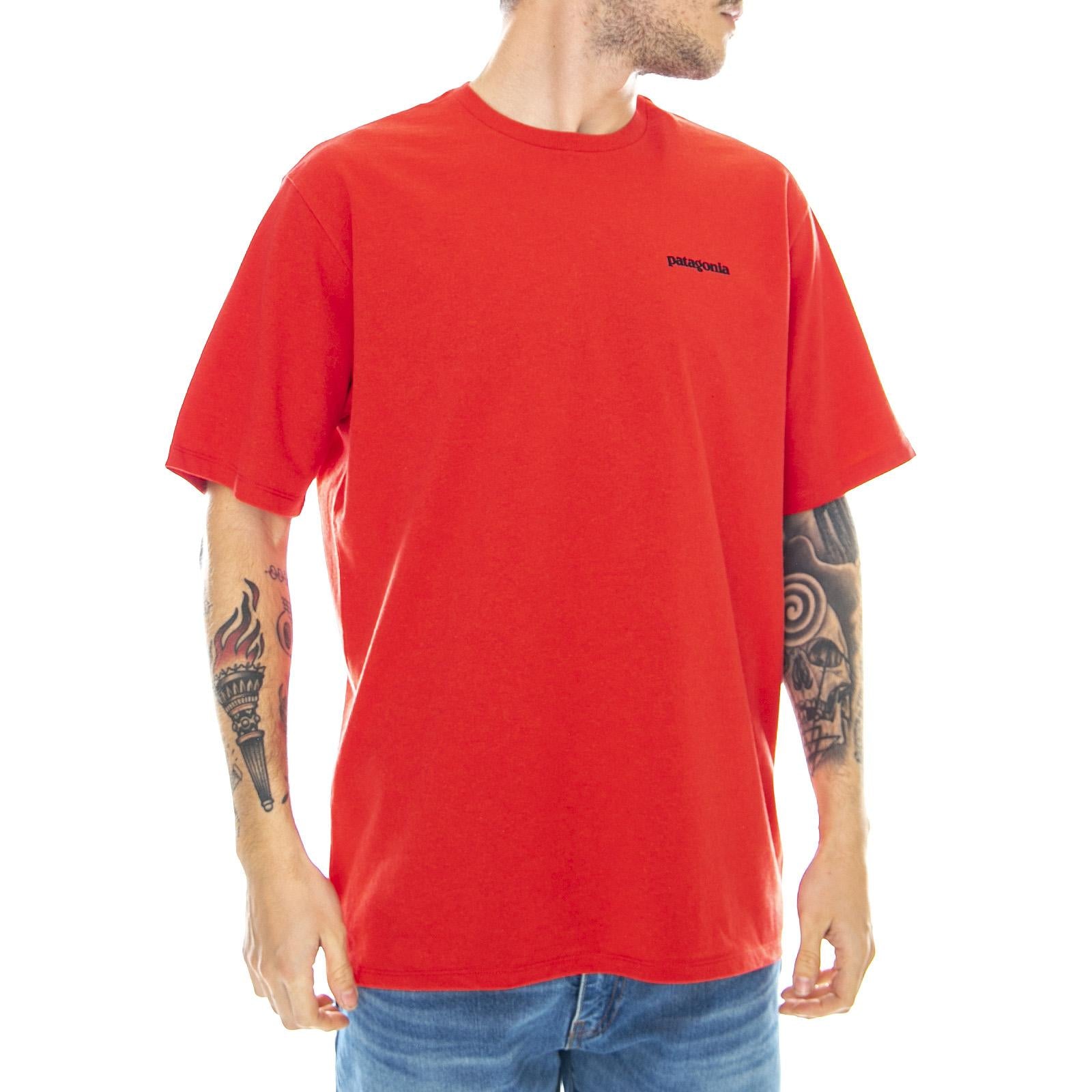  38504-FRE  PATAGONIA 