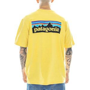  38504-SUYE  PATAGONIA 