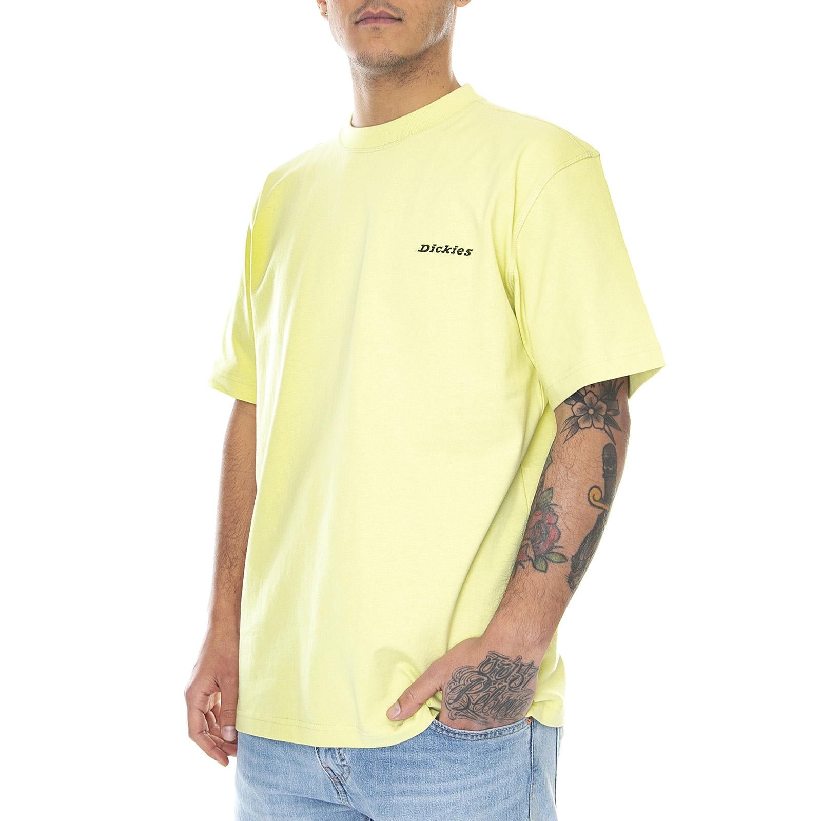  DK0A4X9OB541  DICKIES 