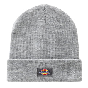  DK0A4X7KGYM1  DICKIES 