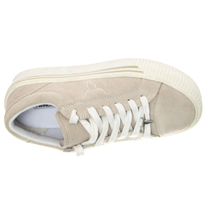  WSPSHADY-VAN  WINDSOR SMITH 